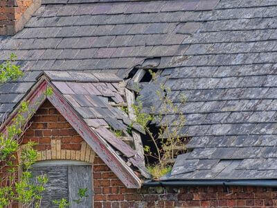 Professional water damage restoration services in Chino - CrestLine Co